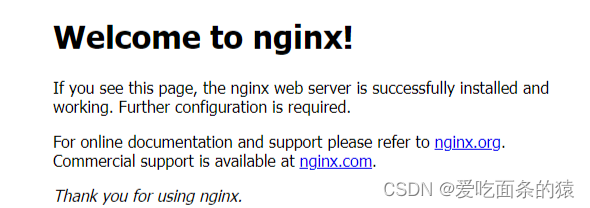 Linux系统下安装配置 Nginx 超详细图文教程 - 图8