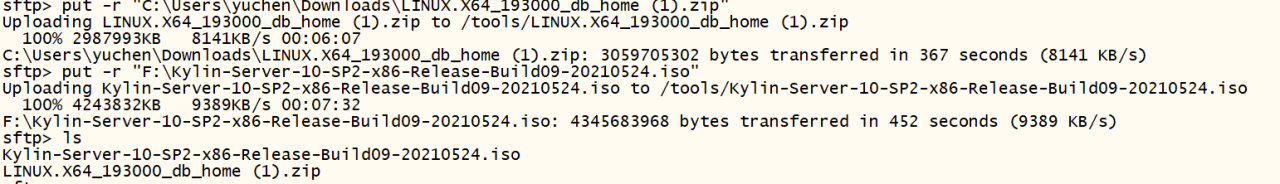银河麒麟服务器v10 sp2安装oracle19c - 图1