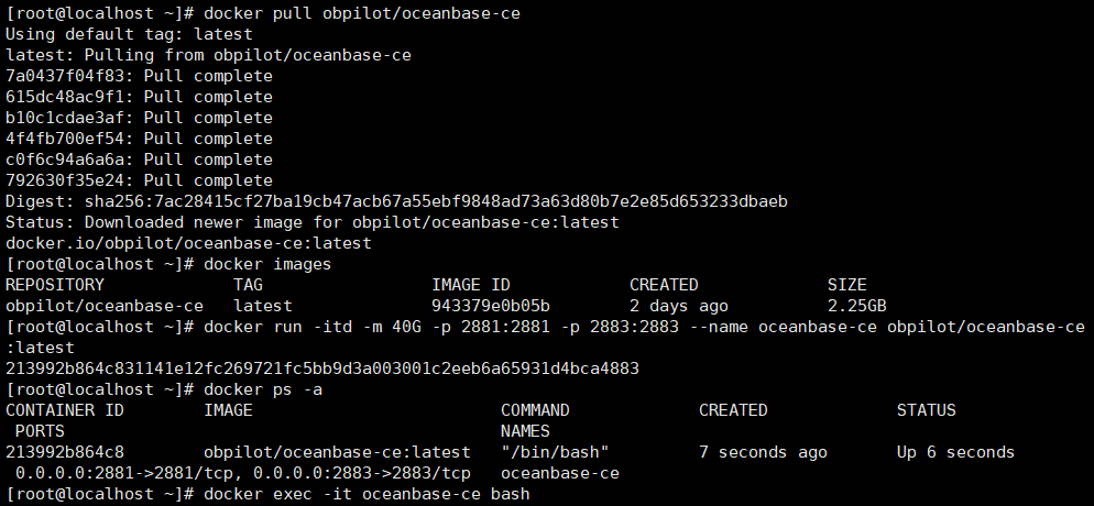 docker 安装oceanbase - 图4