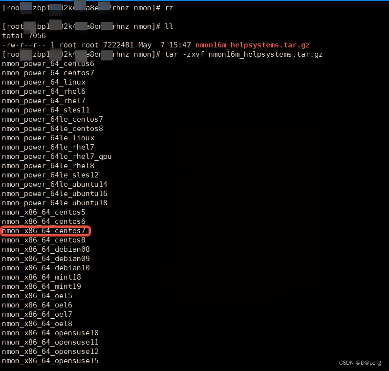 Nmon使用方法 - 图3
