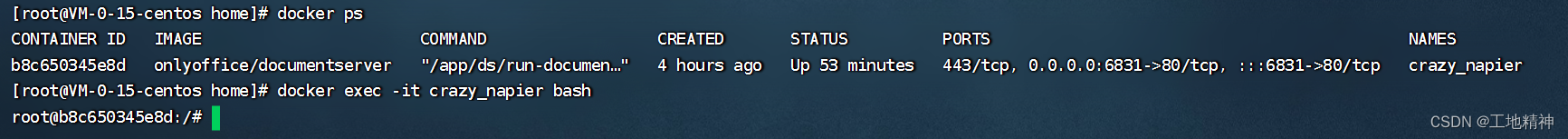 onlyoffice 安装、测试、打包、部署 - 图6