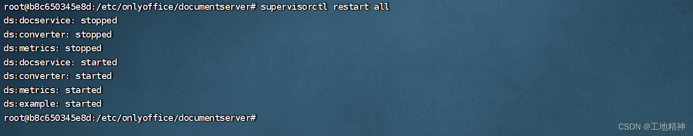 onlyoffice 安装、测试、打包、部署 - 图9