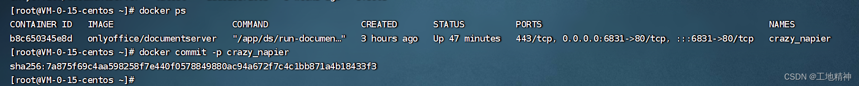 onlyoffice 安装、测试、打包、部署 - 图19